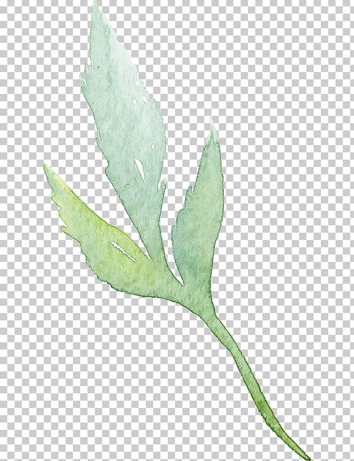 Leaf Watercolor: Flowers Watercolour Flowers Watercolor Painting PNG, Clipart, Color, Download, Fall Leaves, Grass, Gratis Free PNG Download