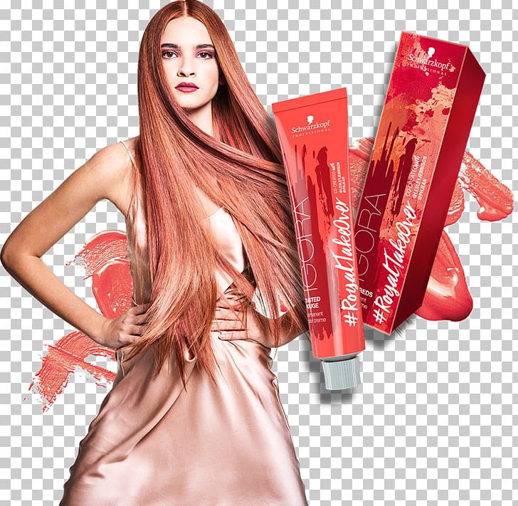 Schwarzkopf Igora Royal Hairdresser Color PNG, Clipart, Brown Hair, Color, Colorist, Concept, Fashion Model Free PNG Download
