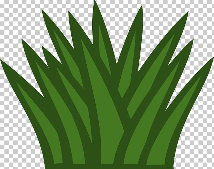 Shrub Tree PNG, Clipart, Angle, Bush, Cactus Images Free, Cartoon, Free  Content Free PNG Download