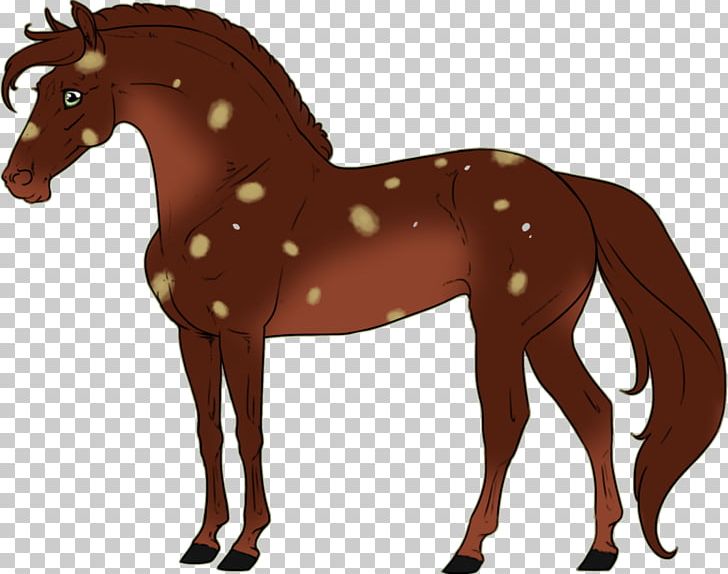 Foal Mustang Stallion Colt Pack Animal PNG, Clipart, Cartoon, Colt, Computer, Computer Wallpaper, Desktop Wallpaper Free PNG Download