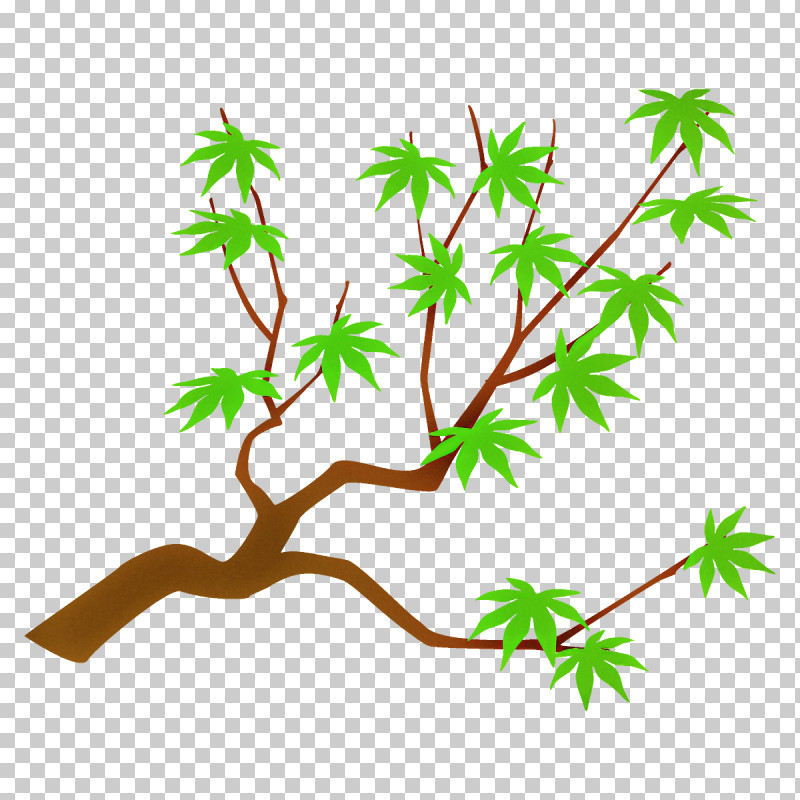 Maple Branch Maple Leaves Maple Tree PNG, Clipart, American Larch, Branch, Flower, Leaf, Maple Branch Free PNG Download