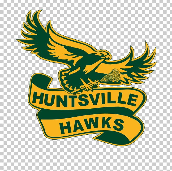 Huntsville Hawks Box Lacrosse Ontario Lacrosse Association PNG, Clipart, Artwork, Beak, Bird, Bird Of Prey, Box Lacrosse Free PNG Download