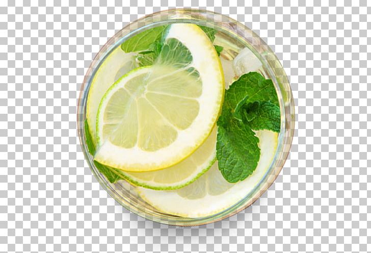 Lemon Balm Lemon Beebalm Water Ionizer Alkaline Diet PNG, Clipart, Alkaline Diet, Citric Acid, Citrus, Cooking, Dishware Free PNG Download