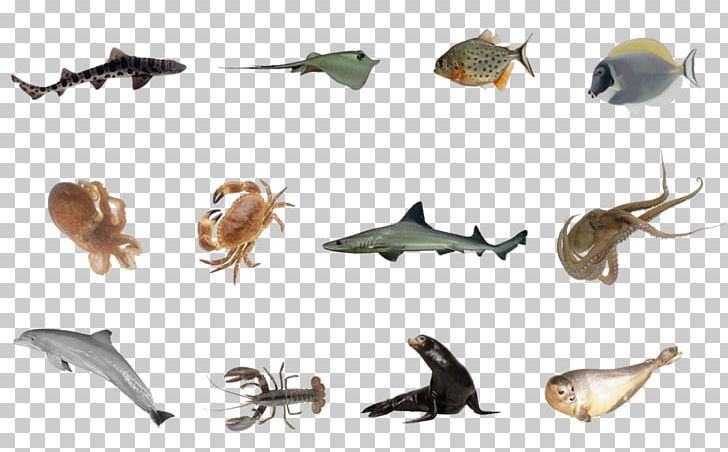 Sea Animal Underwater Fish PNG, Clipart, 3d Computer Graphics, Animal,  Animal Figure, Deep Sea Creature, Drawing