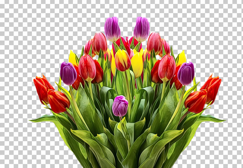 Floral Design PNG, Clipart, Bouquet, Bud, Crocus, Cut Flowers, Floral Design Free PNG Download