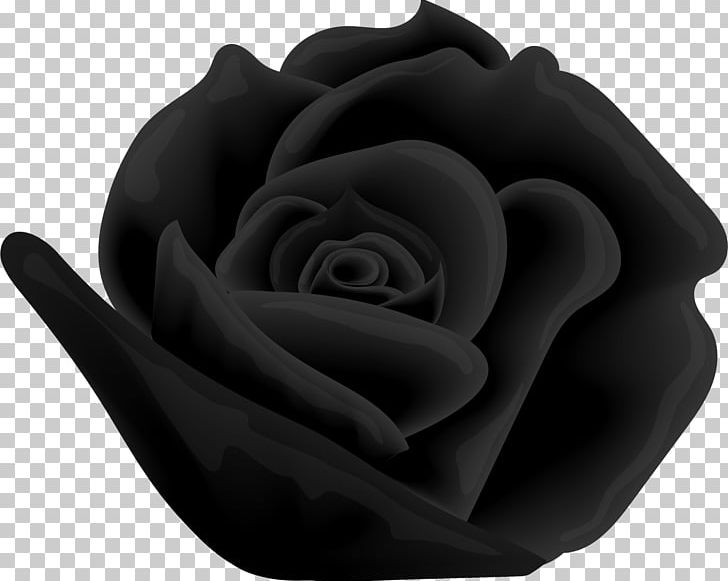 Beach Rose Vecteur Computer File PNG, Clipart, Black, Black And White, Download, Euclidean Vector, Flower Free PNG Download
