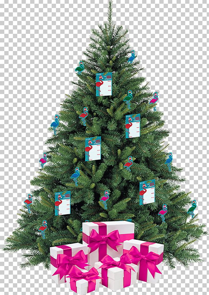 Christmas Tree Pine Stock Photography PNG, Clipart, Albero, Christmas, Christmas Decoration, Christmas Ornament, Christmas Tree Free PNG Download