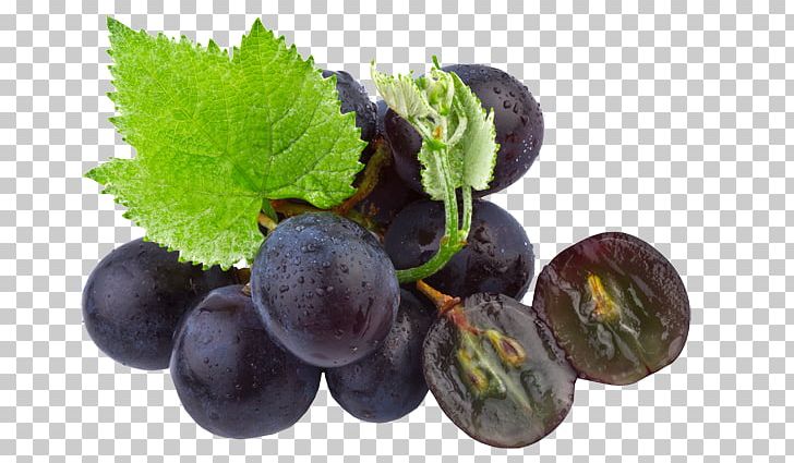 Common Grape Vine Grape Seed Oil Organic Food PNG, Clipart, Bilberry, Blueberry, Common Grape Vine, Damson, Extract Free PNG Download