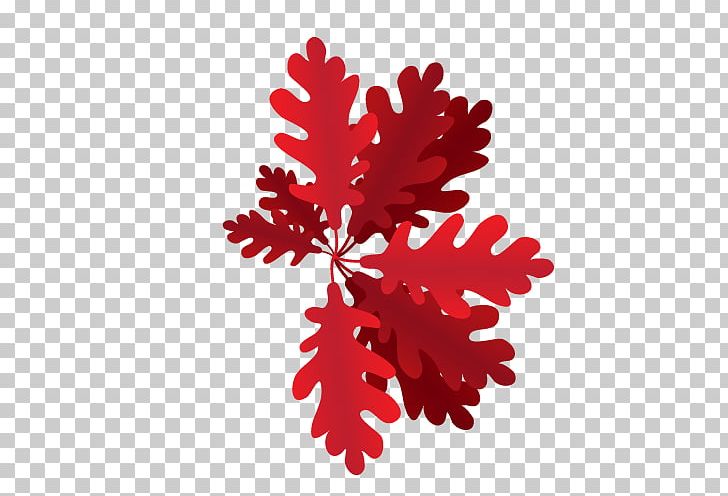 Leaf Red Orange Illustration PNG, Clipart, Autumn, Color, Flower, Flowering Plant, Green Leaf Free PNG Download