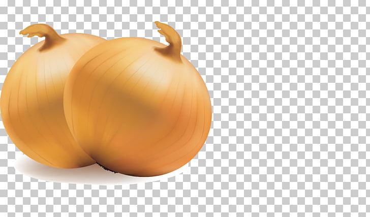 Vegetable Onion Fruit Pumpkin PNG, Clipart, Auglis, Calabaza, Carrot, Cucurbita, Drawing Free PNG Download