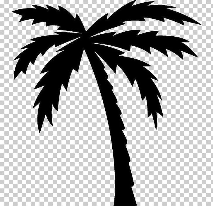 Drawing Arecaceae PNG, Clipart, Archontophoenix Alexandrae, Arecaceae, Arecales, Art, Black And White Free PNG Download
