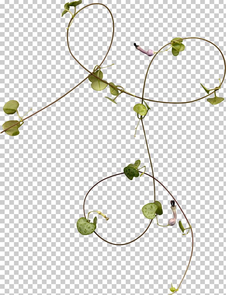Liana PNG, Clipart, Blog, Body Jewelry, Branch, Clip Art, Computer Icons Free PNG Download