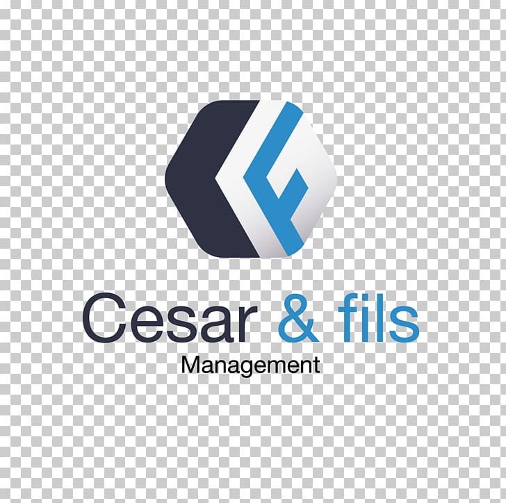 Logo Graphic Design Web Design PNG, Clipart, Brand, Cesar, Graphic Design, Internet, Julius Caesar Free PNG Download