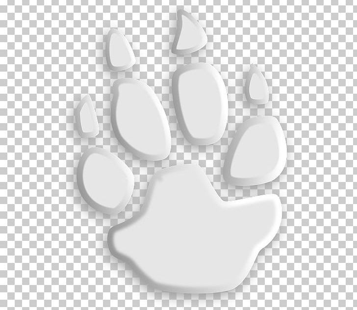 Paw Photography PNG, Clipart, Blog, Circle, Computer Icons, Foot, Footprint Free PNG Download