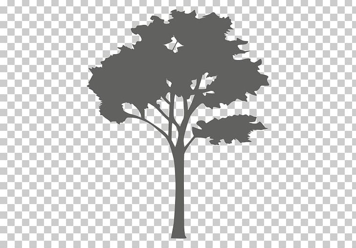 Tree Silhouette PNG, Clipart, Black And White, Branch, Computer Wallpaper, Drawing, Encapsulated Postscript Free PNG Download