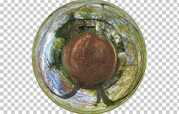 Tree Sphere PNG, Clipart,  Free PNG Download