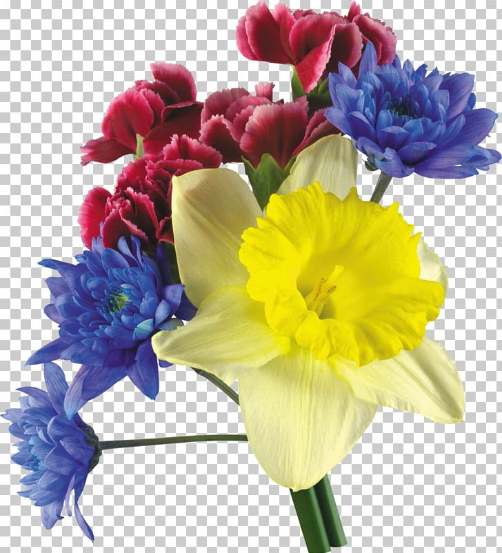 Carnation Flower Bouquet Tulip PNG, Clipart, Artificial Flower, Carnation, Cut Flowers, Daffodil, Floral Design Free PNG Download