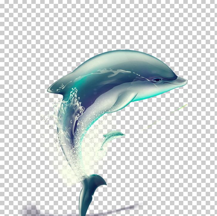 Dolphin PNG, Clipart, Animal, Animals, Encapsulated Postscript, Fin, Hand Free PNG Download