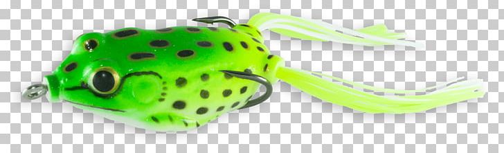 Frog Fishing Baits & Lures Bass Worms Technology PNG, Clipart, Amphibian, Animals, Bass Worms, Camera, Fishing Baits Lures Free PNG Download