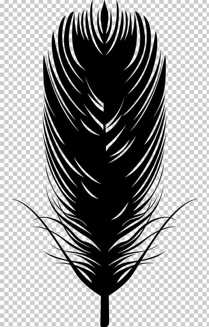 Black Feather Silhouette Vector PNG, Cartoon Hand Painted Black Feather,  Cartoon, Hand Draw, Black PNG Image For Free Download
