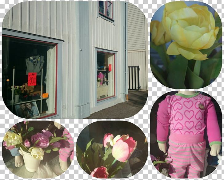 Floral Design Plastic Pink M PNG, Clipart, Art, Floral Design, Floristry, Flower, Flower Arranging Free PNG Download
