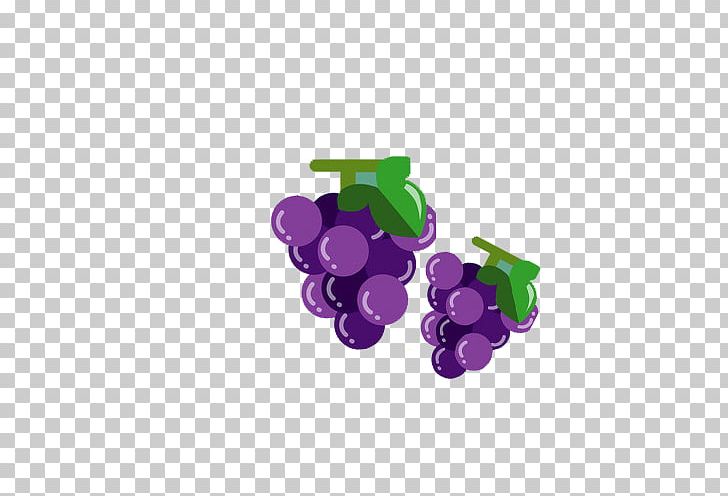 Grape Purple PNG, Clipart, Download, Fresh, Fruit, Fruit Nut, Google Images Free PNG Download