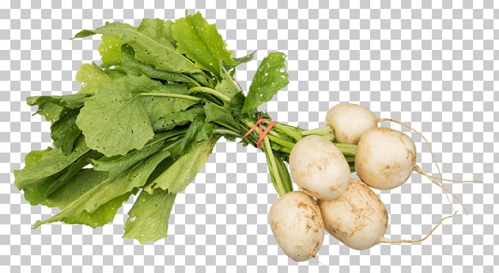 Vegetarian Cuisine Daikon Turnip Rutabaga PNG, Clipart, Brassica Juncea, Cabbage, Daikon, Food, Leaf Vegetable Free PNG Download