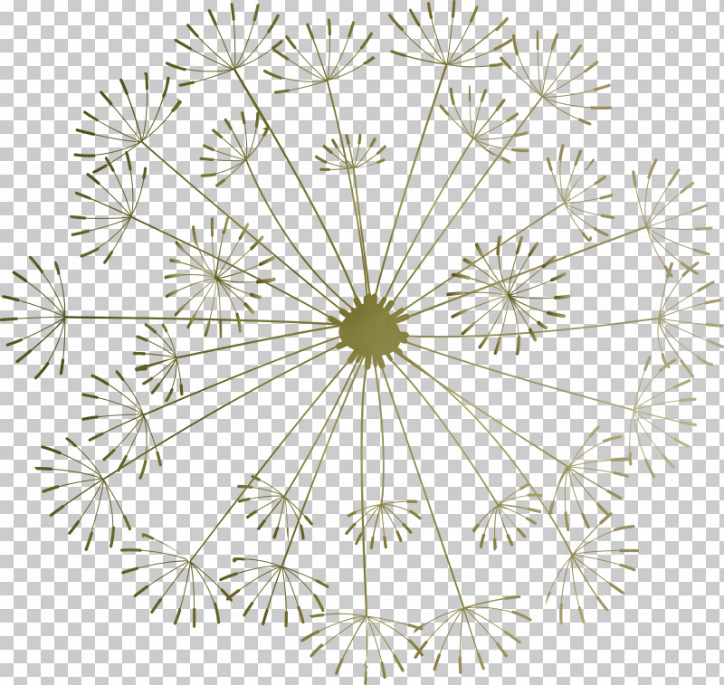 Flower Line Art Symmetry Line Tree PNG, Clipart, Biology, Dandelion, Flower, Geometry, Line Free PNG Download