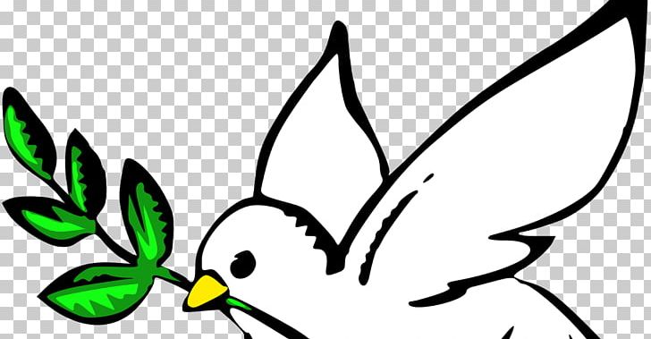 Columbidae Doves As Symbols Peace Symbols PNG, Clipart, Artwork, Beak, Bird, Branch, Doves As Symbols Free PNG Download