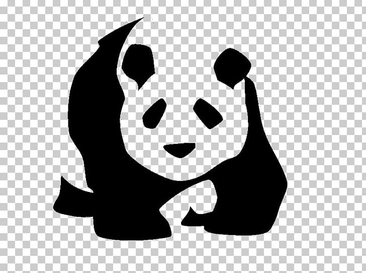 Giant Panda Red Panda PNG, Clipart, Bear, Black, Black And White, Carnivoran, Cartoon Free PNG Download