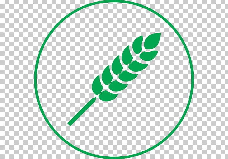 Wheat Beer Computer Icons Cereal PNG, Clipart, Area, Artwork, Cereal, Circle, Computer Icons Free PNG Download