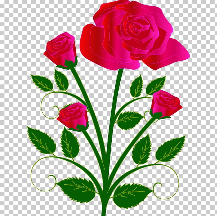 Flower Garden Roses PNG, Clipart, Annual Plant, Cut Flowers, Flora, Floral Design, Floristry Free PNG Download