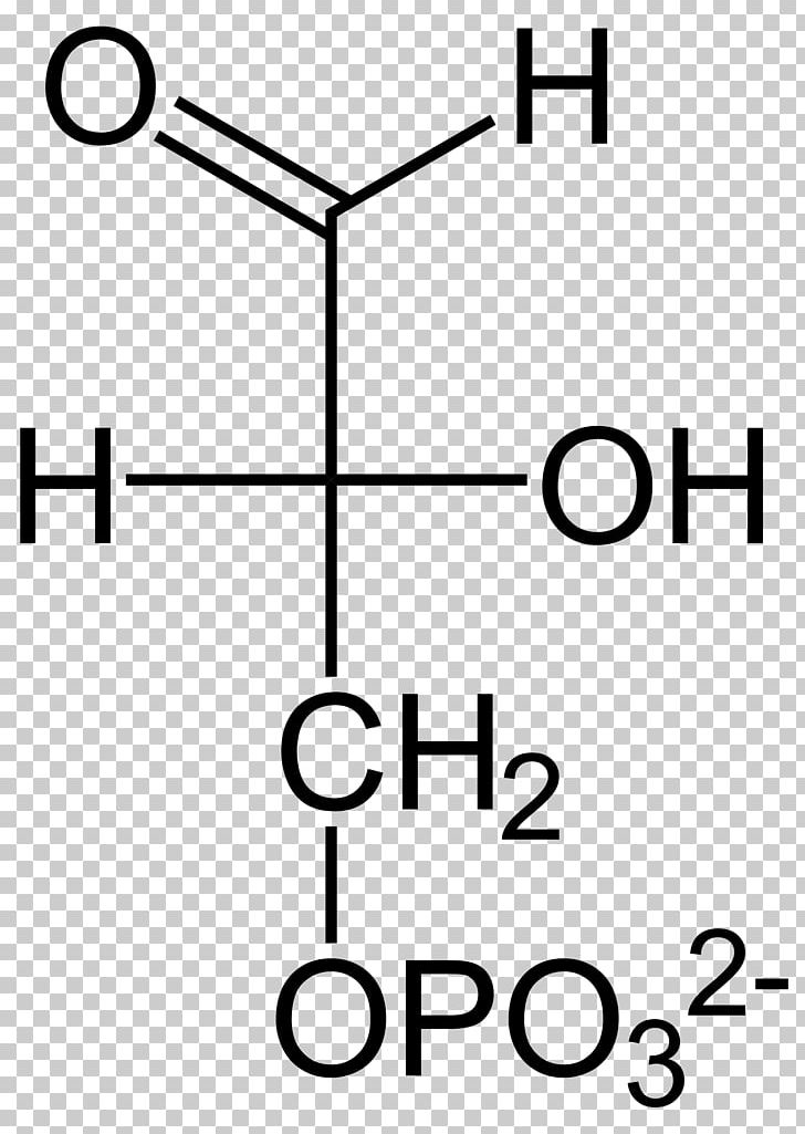 Pyruvic Acid Biochemistry Gluconic Acid Monosaccharide PNG, Clipart, Acetylcoa, Alcohol, Angle, Area, Biochemistry Free PNG Download