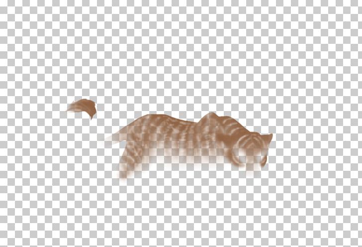 Whiskers Cat Fauna Tail PNG, Clipart, Animals, Carnivoran, Cat, Cat Like Mammal, Fauna Free PNG Download