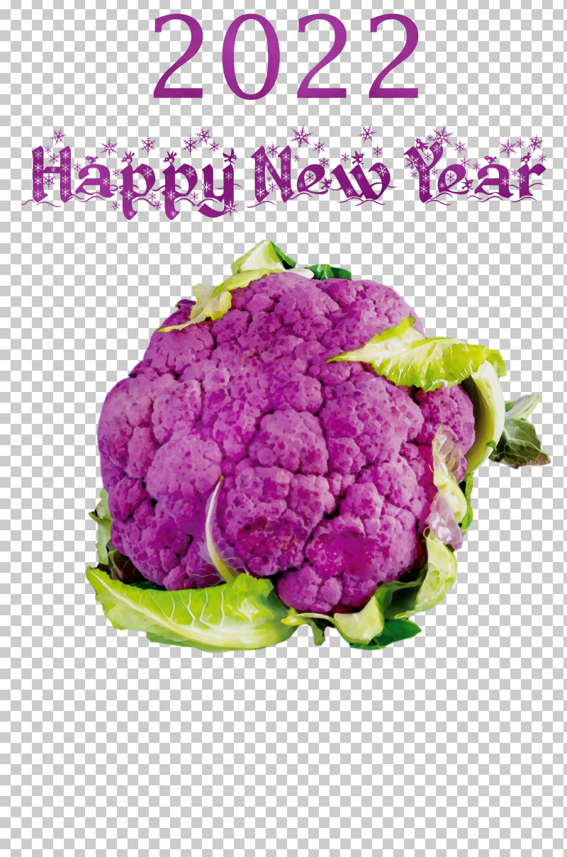 Cauliflower PNG, Clipart, Beetroot, Cauliflower, Chili Pepper, Eating, Leaf Free PNG Download