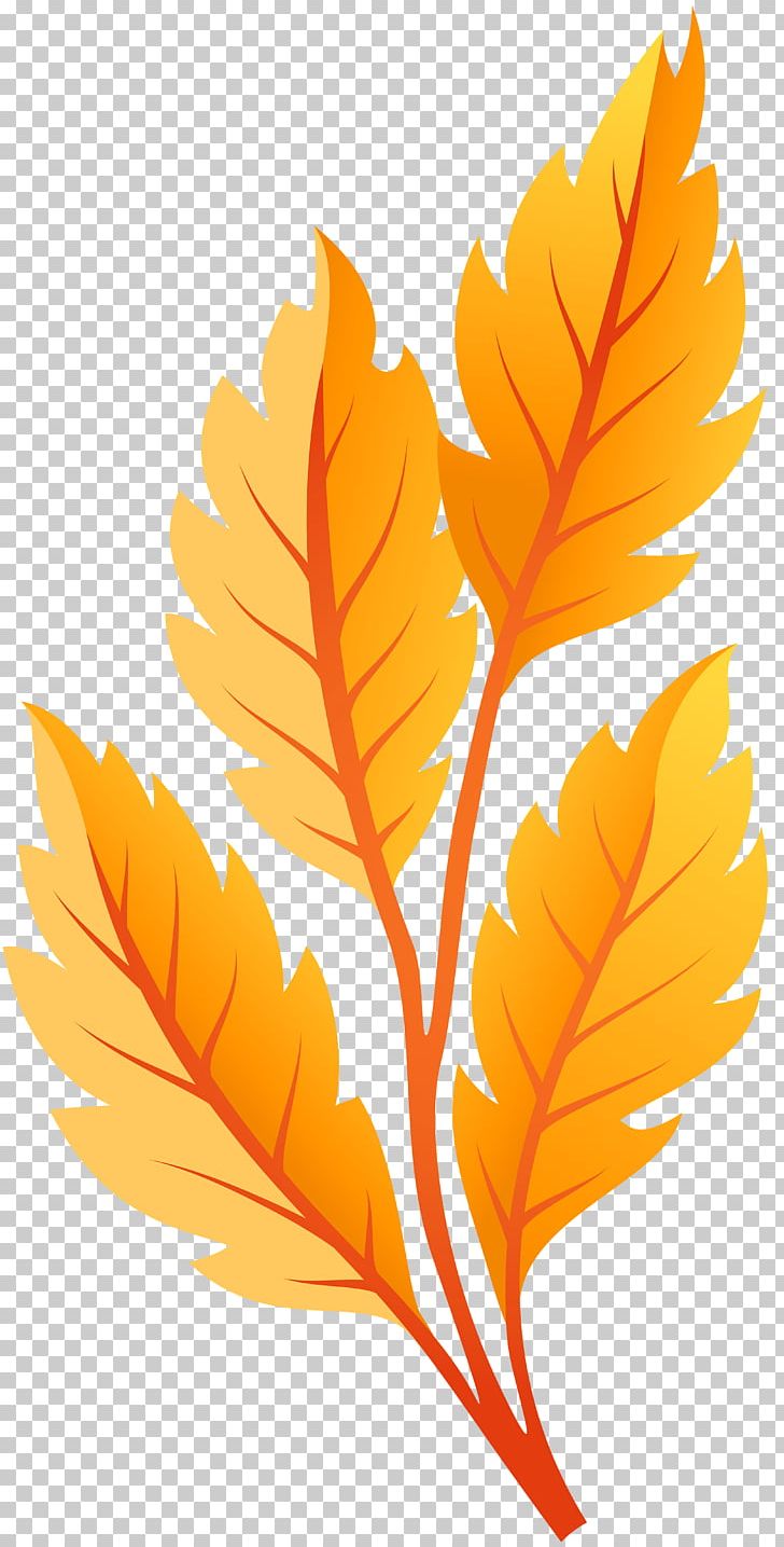 Autumn Leaf Color PNG, Clipart, Art, Autumn, Autumn Leaf Color, Branch, Computer Wallpaper Free PNG Download