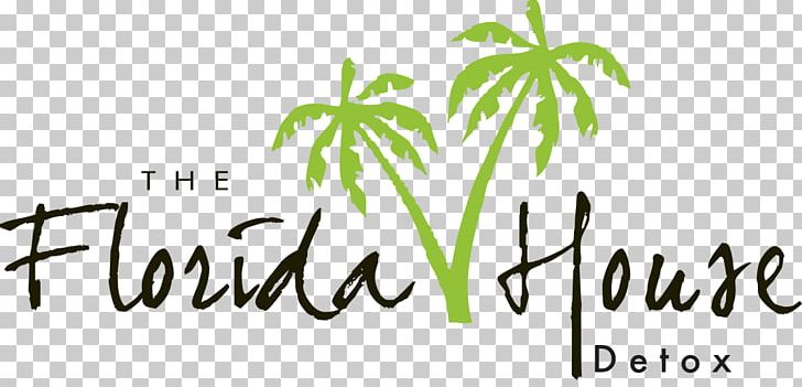 Florida House Experience Drug Rehabilitation Palm Beach County Florida House Of Representatives Alcoholism PNG, Clipart, Addiction, Alcohol Abuse, Alcohol Detoxification, Alcoholism, Brand Free PNG Download