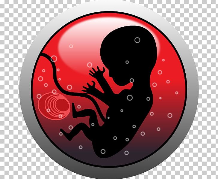 Human Embryogenesis Pregnancy Homo Sapiens PNG, Clipart, Embryo, Fetus, Fictional Character, Homo Sapiens, Human Body Free PNG Download