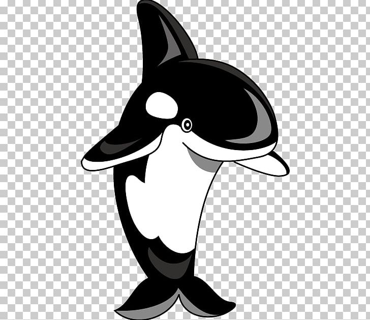 Killer Whale Shamu PNG, Clipart, Artwork, Beak, Beluga Whale, Black And White, Dolphin Free PNG Download