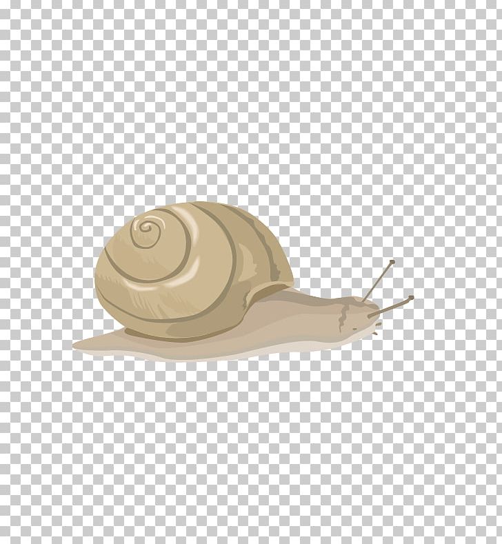 Snail Euclidean Orthogastropoda PNG, Clipart, Animals, Beige, Cartoon Snail, Computer Icons, Cute Free PNG Download