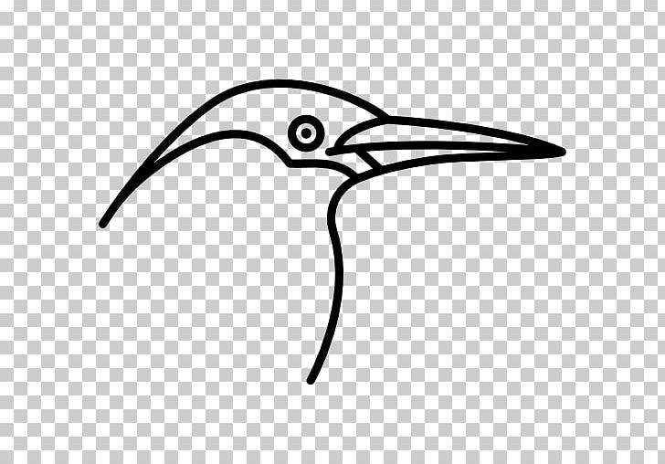 Bird PNG, Clipart, Angle, Animals, Animation, Area, Beak Free PNG Download