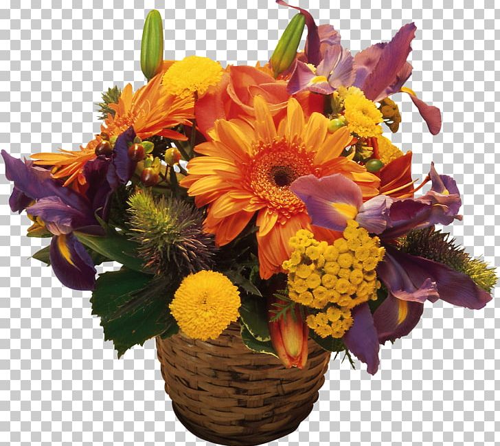 Cincinnati Flower Show Desktop Transvaal Daisy PNG, Clipart, Basket, Color, Cut Flowers, Desktop Metaphor, Desktop Wallpaper Free PNG Download