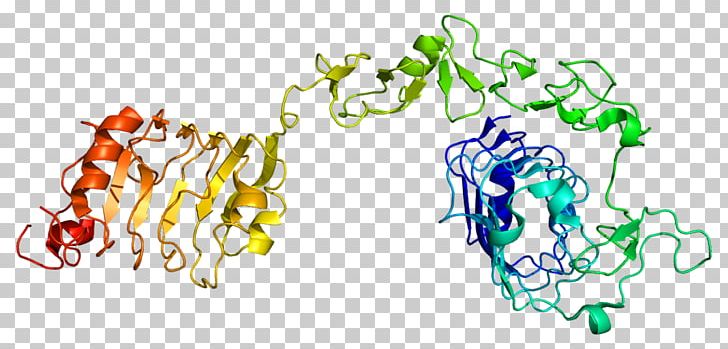 Insulin-like Growth Factor 1 Receptor Insulin Receptor PNG, Clipart, Area, Art, Cell, Cell Surface Receptor, Graphic Design Free PNG Download