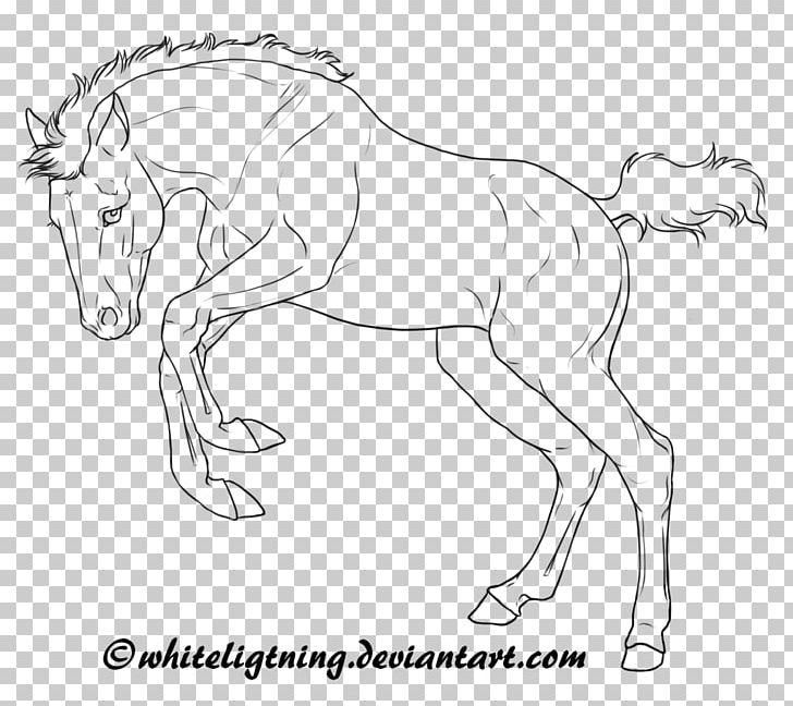 Arabian Horse American Quarter Horse Foal Mare Line Art PNG, Clipart, Animal Figure, Arabian Horse, Arm, Art, Artwork Free PNG Download