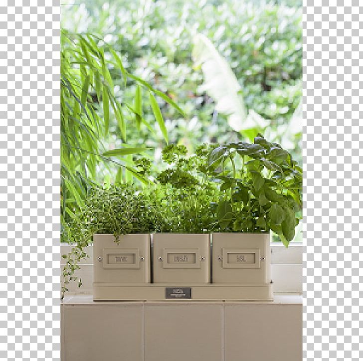 Flowerpot The Potted Herb Tray Flower Box PNG, Clipart, Cauliflower Carrot Cucumber, Container, Container Garden, Flora, Flower Box Free PNG Download