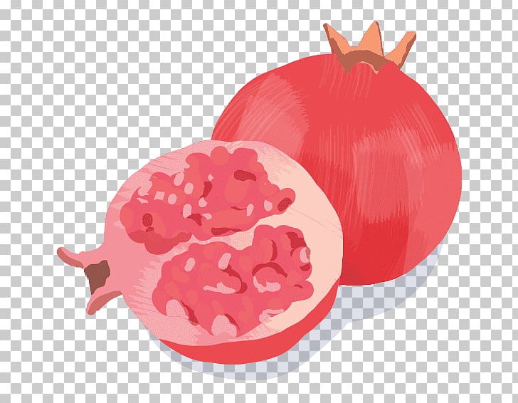 Fruit PNG, Clipart, Chioggia, Food, Fruit, Others Free PNG Download