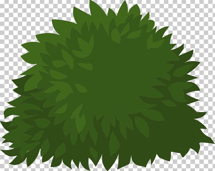 Graphics Illustration Shrub PNG, Clipart, Bush Plant, Computer Icons, Encapsulated Postscript, Grass, Green Free PNG Download