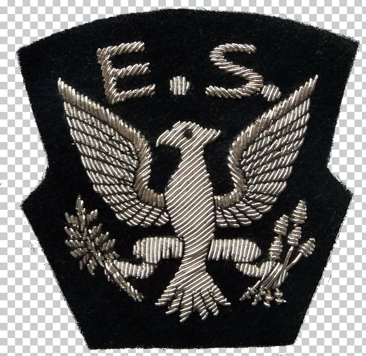 Eagle Squadrons No. 133 Squadron RAF Military Shoulder Sleeve Insignia PNG, Clipart, Badge, British Armed Forces, Eagle Squadrons, Embroidered Patch, Military Free PNG Download