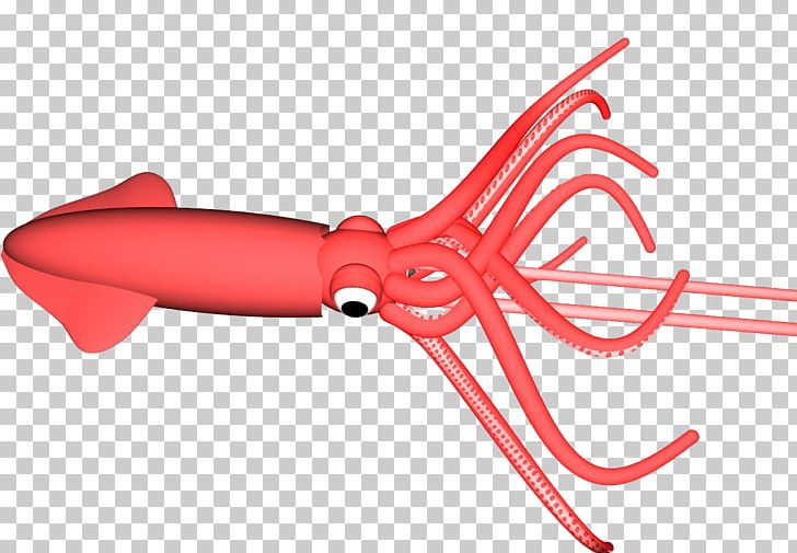 Giant Squid Cephalopod PNG, Clipart, 3d Computer Graphics, Angle, Animals, Cephalopod, Collision Free PNG Download