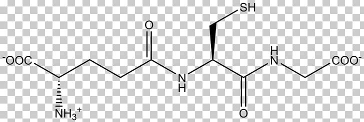 Glutathione S-transferase Antioxidant Free-radical Theory Of Aging Mitochondrion PNG, Clipart, Amino Acid, Angle, Antioxidant, Area, Ballandstick Model Free PNG Download